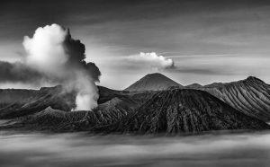 Salon Honorable Mention